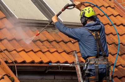 Démoussage et hydrofuge de toiture au Perron
